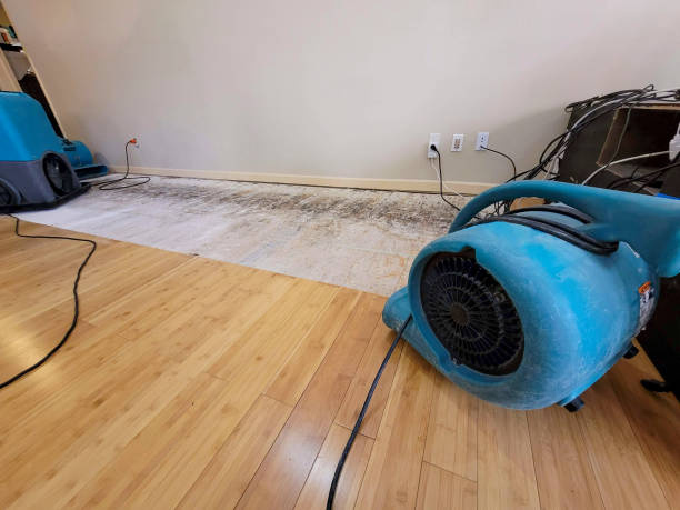 Professional Emergency Water Damage technician working in Lakewood, NY
